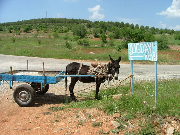 Buğdaylı-Karahallı Arası Dolmuş :)